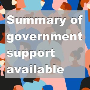 Summary of government support available